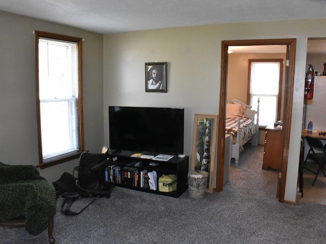 carpeted living room featuring a wealth of natural light