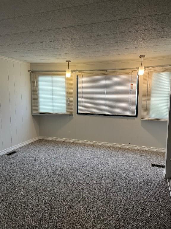 unfurnished room with carpet flooring