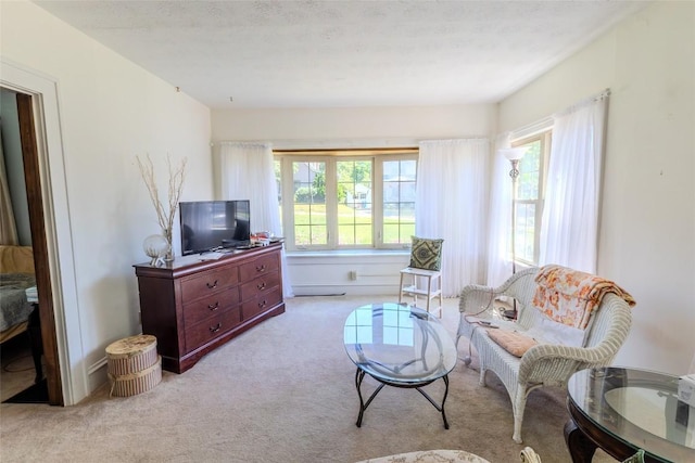 733 Davenport St, Meadville, PA 16335 - photo 6