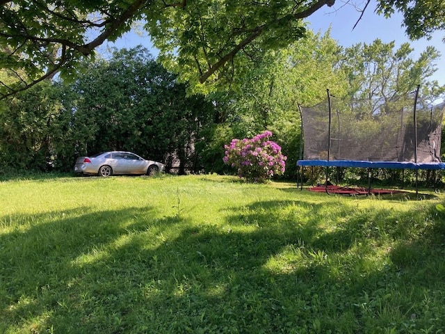 view of yard with a trampoline