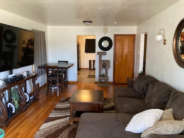 living room with hardwood / wood-style flooring