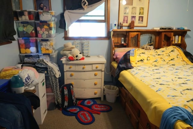 17315 Phelps Rd, Linesville, PA 16424 - bedroom featuring carpet floors