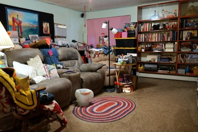 17315 Phelps Rd, Linesville, PA 16424 - sitting room with carpet