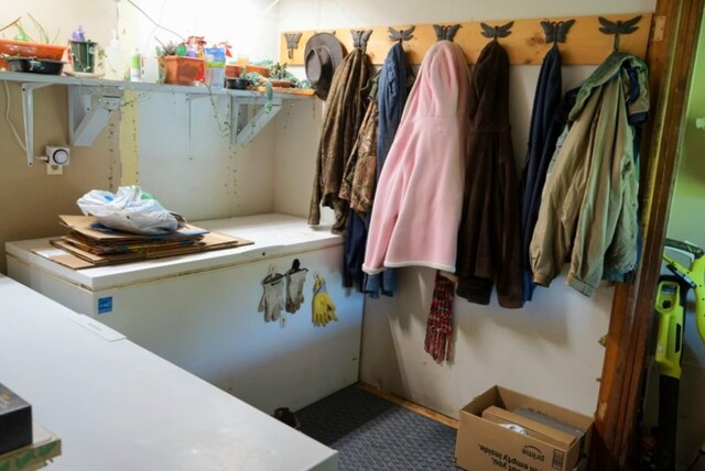 17315 Phelps Rd, Linesville, PA 16424 - view of spacious closet