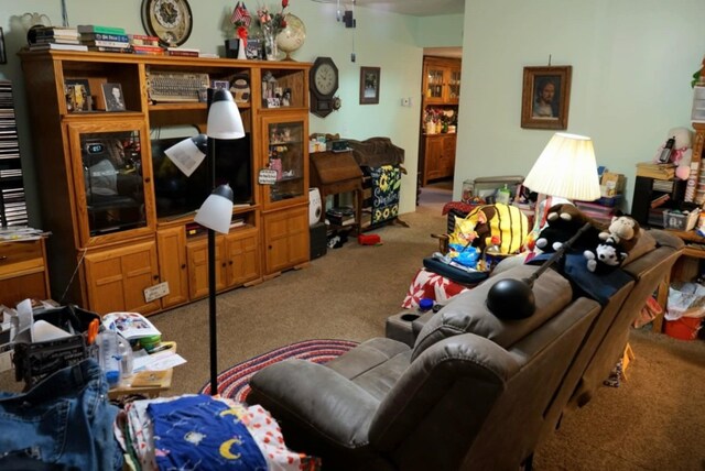 17315 Phelps Rd, Linesville, PA 16424 - living room featuring carpet floors