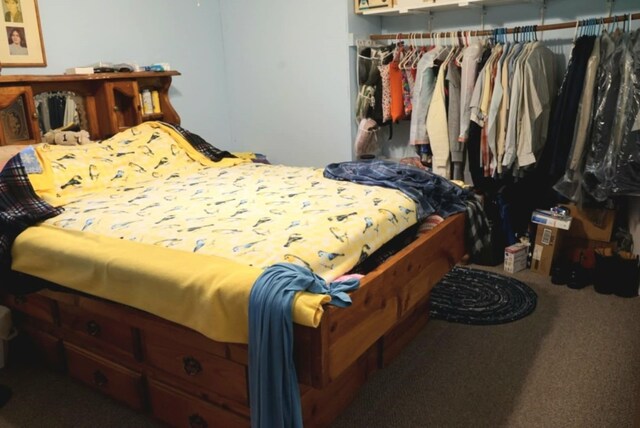17315 Phelps Rd, Linesville, PA 16424 - view of carpeted bedroom