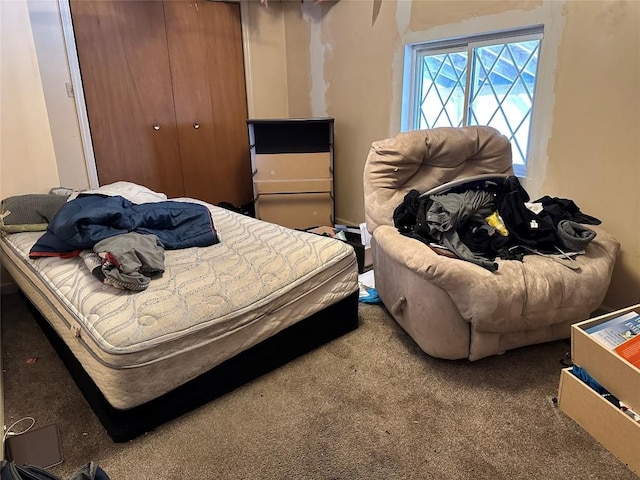 bedroom with carpet floors and a closet