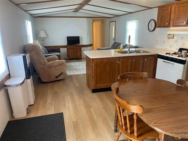 kitchen with ventilation hood, vaulted ceiling, a healthy amount of sunlight, sink, and light hardwood / wood-style floors