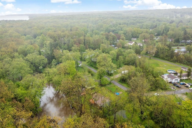 2629 River Dr, Jamestown, PA 16134 - bird's eye view of a forest and a large body of water