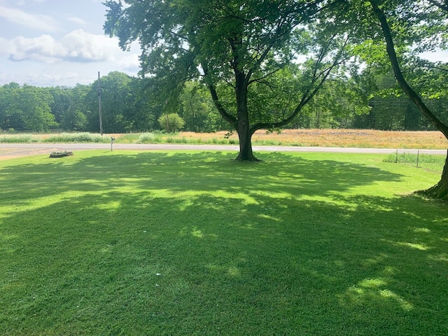 5511 Lake Rd, Atlantic, PA 16111 - view of grassy yard