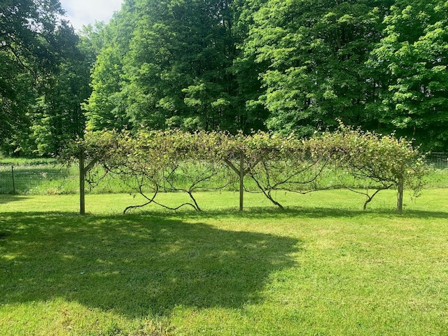 5511 Lake Rd, Atlantic, PA 16111 - view of yard