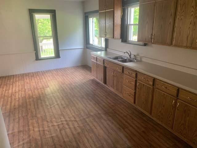 5511 Lake Rd, Atlantic, PA 16111 - kitchen with a sink, dark wood-style floors, wainscoting, light countertops, and healthy amount of natural light