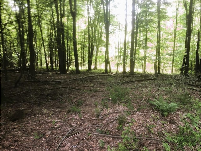 20535 Morrell St, Meadville PA, 16335 land for sale