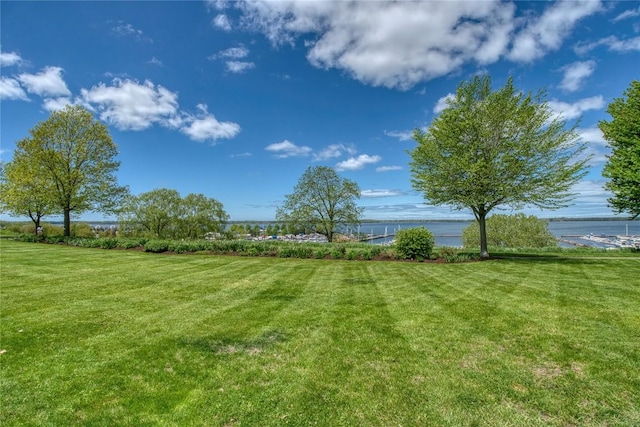 634 W 2nd St Unit 306, Erie, PA 16507 - view of green lawn featuring a water view