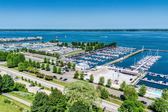 634 W 2nd St Unit 306, Erie, PA 16507 - bird's eye view of a marina and a large body of water