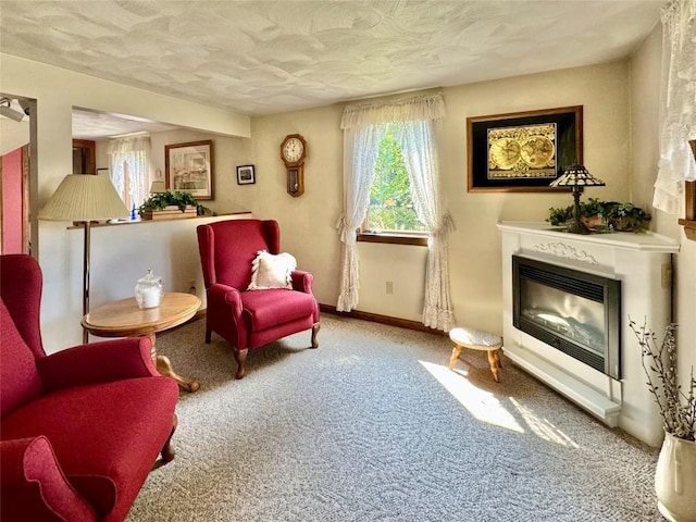 living area with carpet floors and a textured ceiling