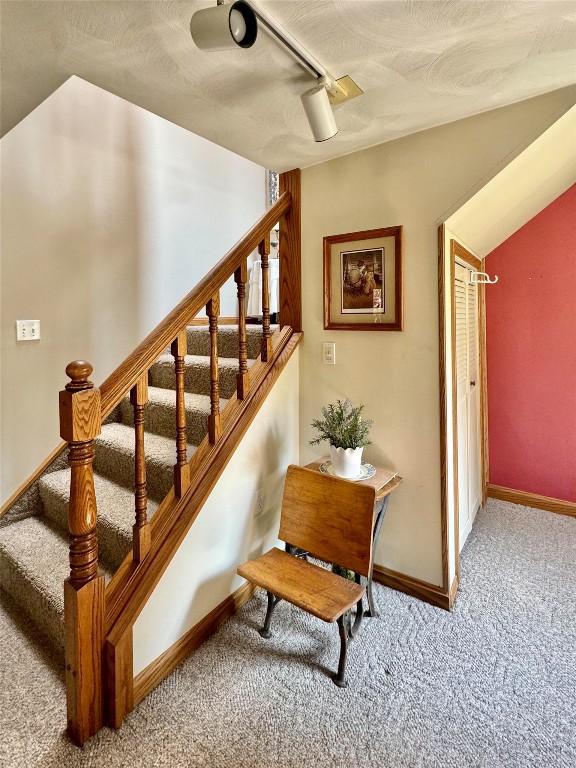 staircase featuring carpet floors and track lighting