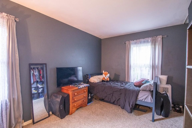 104 Hillcrest Dr, Edinboro, PA 16412 - bedroom with light carpet