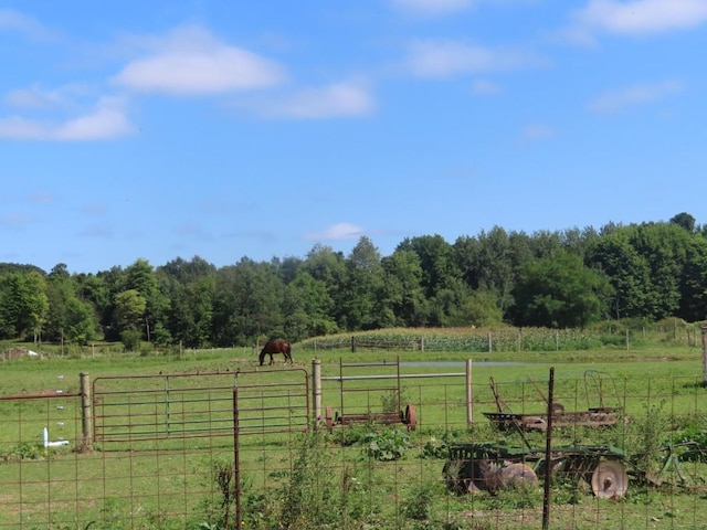 view of yard featuring a rural view