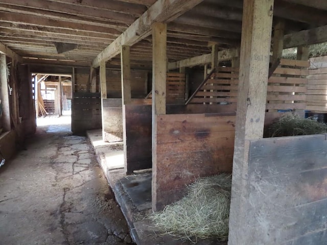 view of horse barn