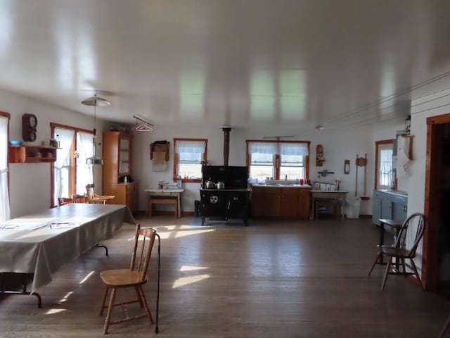 interior space with dark hardwood / wood-style floors