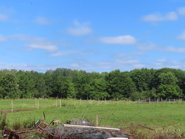 view of yard featuring a rural view