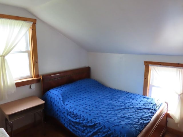 bedroom featuring vaulted ceiling and multiple windows