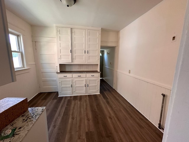 interior space with dark hardwood / wood-style floors