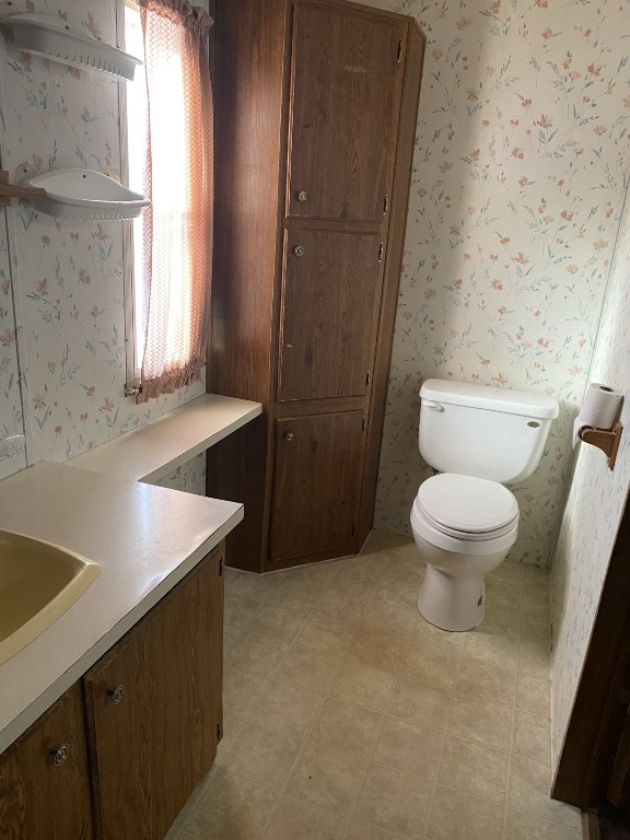 bathroom with toilet and vanity