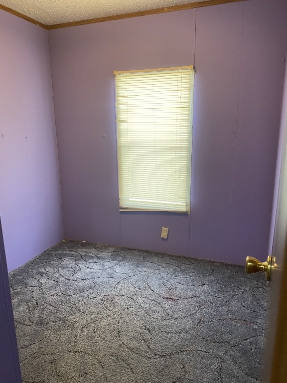 carpeted spare room featuring ornamental molding