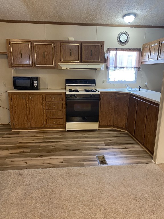 kitchen featuring a textured ceiling, dark wood-type flooring, sink, white gas range, and ornamental molding