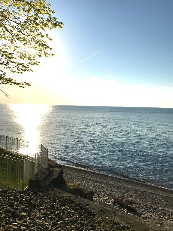 view of water feature featuring a view of the beach