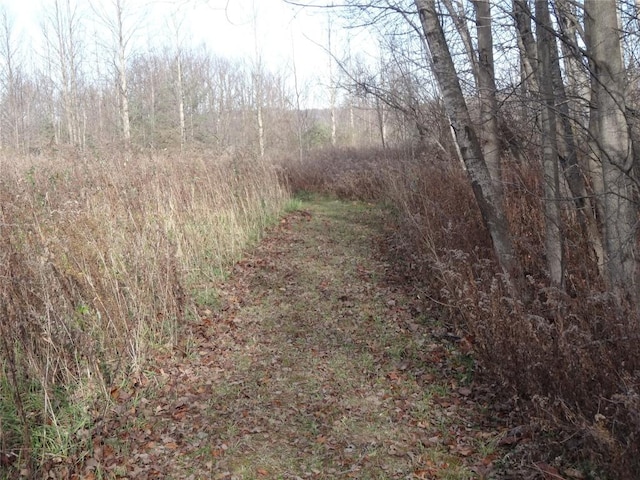 view of landscape