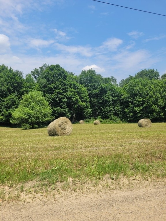 view of landscape with a rural view