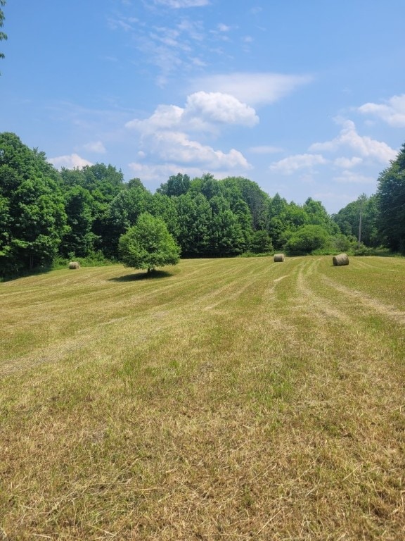 view of yard with a rural view