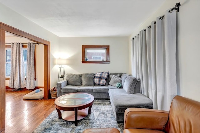 living room with hardwood / wood-style floors and a wealth of natural light