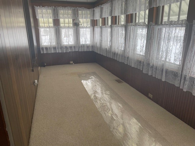 spare room with wood walls and carpet floors