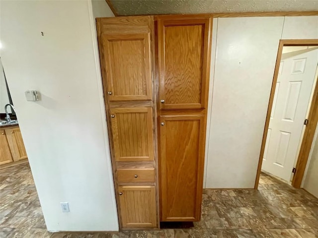 closet featuring sink