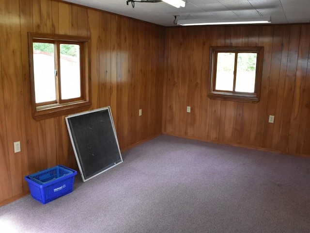 unfurnished room with carpet and wooden walls