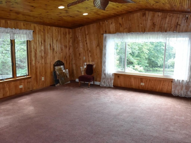 misc room with ceiling fan, carpet floors, a wealth of natural light, and wood ceiling