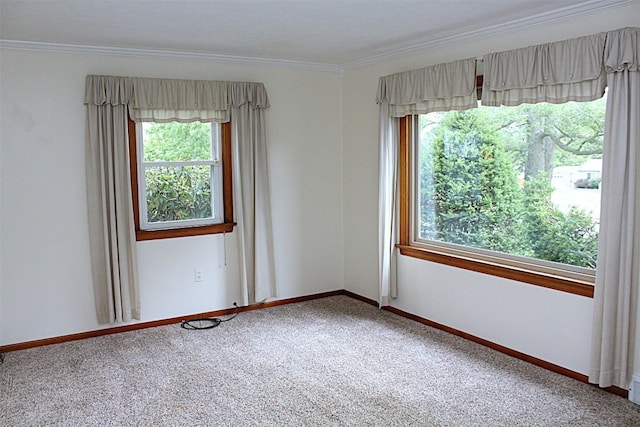 4152 Zimmerman Rd, Erie, PA 16510 - photo 10