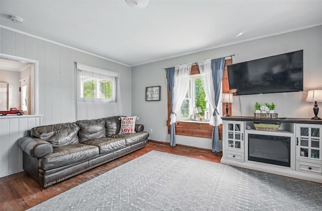 406 Spring St, Jamestown, PA 16134 - living room featuring ornamental molding, wood finished floors, plenty of natural light, and baseboards