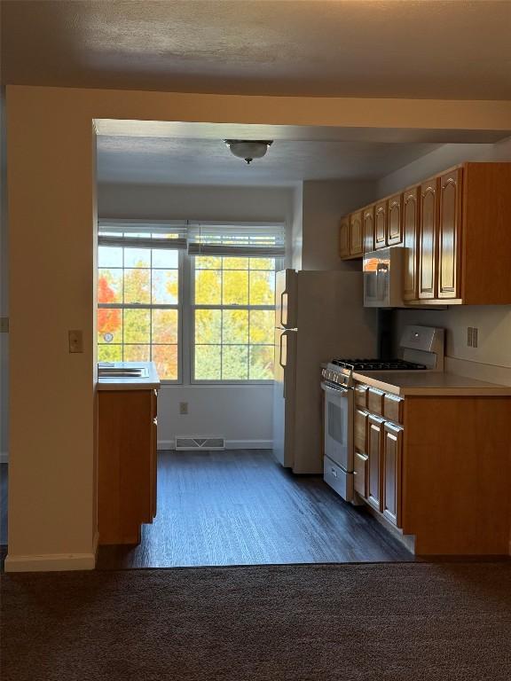 kitchen with dark carpet, white appliances, and a textured ceiling