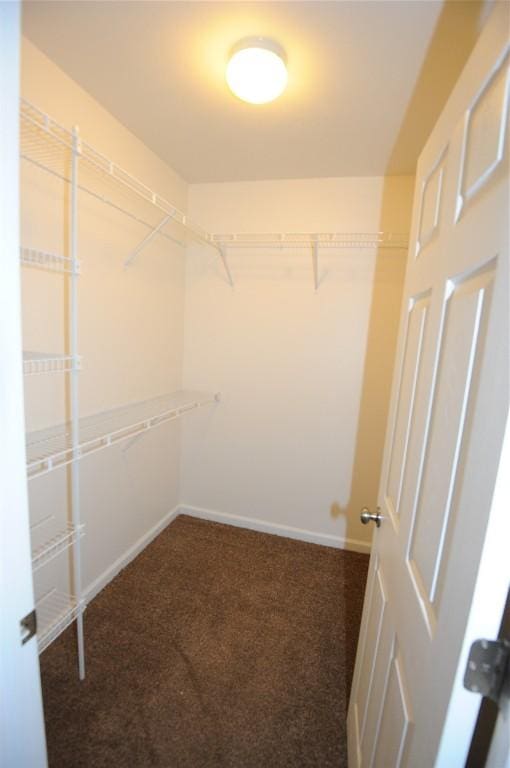 4140 Wood Hills Dr Unit C44, Erie, PA 16510 - walk in closet featuring carpet