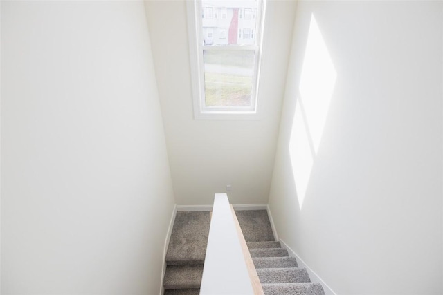 stairway with carpet floors