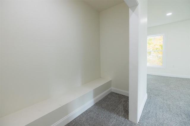 mudroom with dark colored carpet