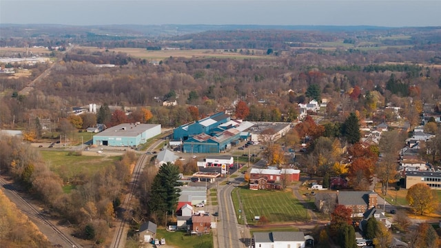 bird's eye view