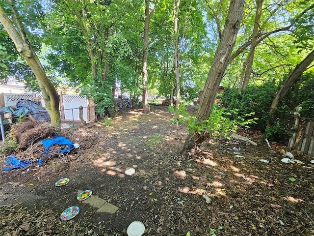 448 W 19th St, Erie, PA 16502 - view of yard