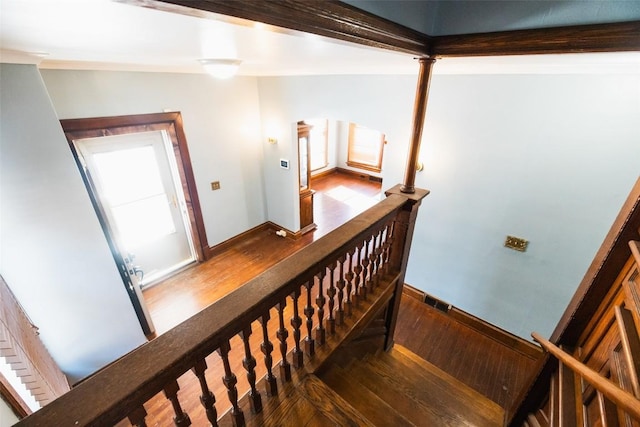 stairs featuring hardwood / wood-style flooring and a healthy amount of sunlight