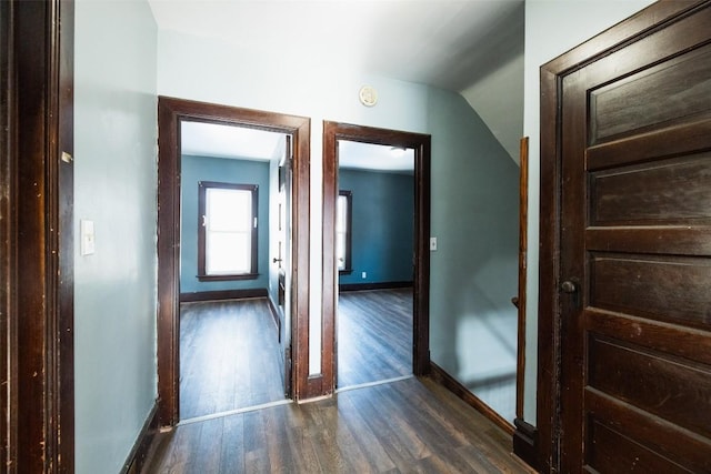 hallway with lofted ceiling and dark wood-type flooring